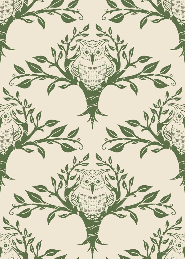 Owl in Tree Branches