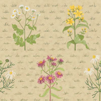 Antique Herbarium Flowers tapete