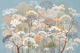 Delicate Meadow Botanicals