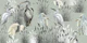 Lagoon Birds