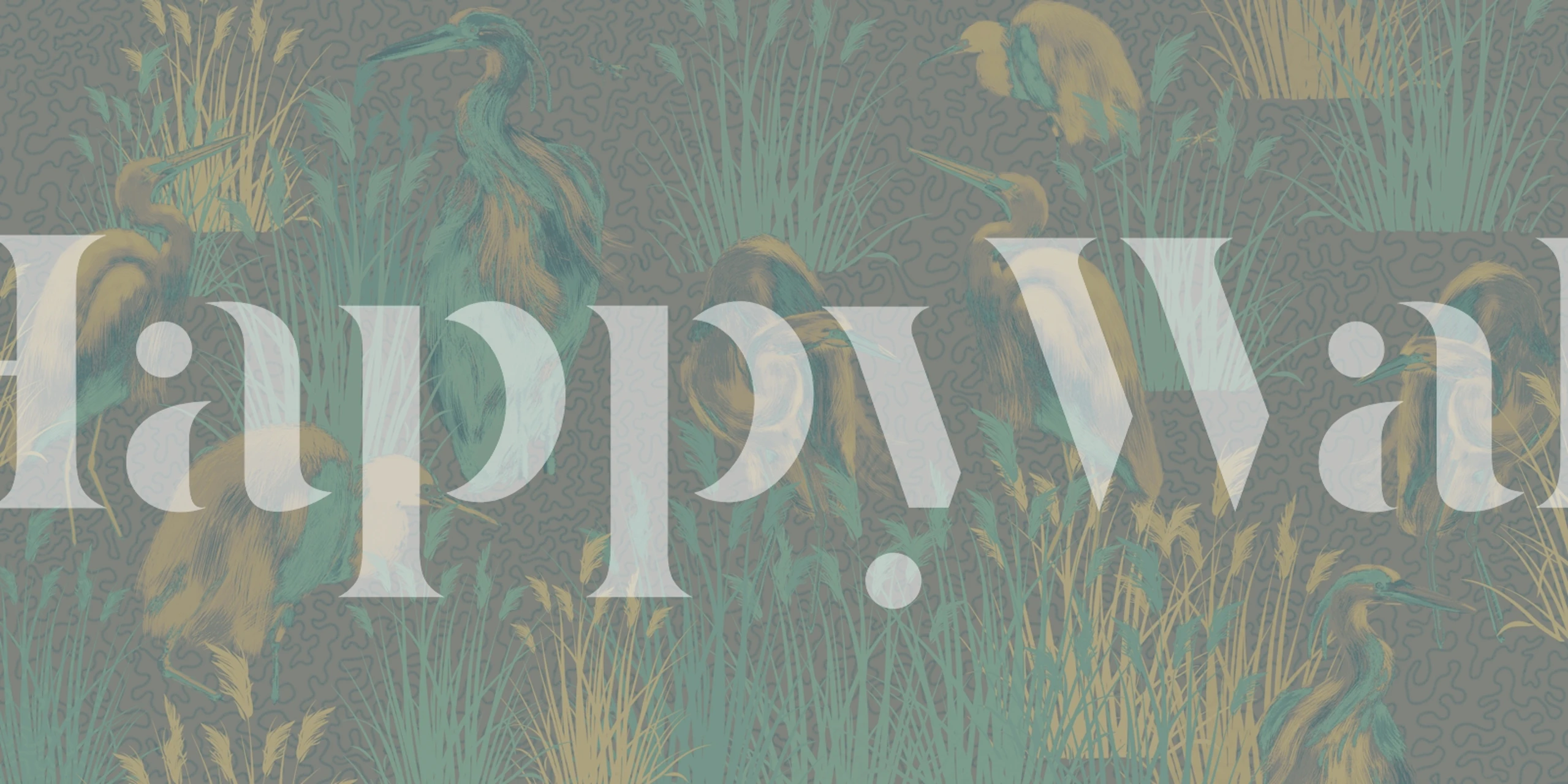 Lagoon Birds in Teal wallpaper in a room