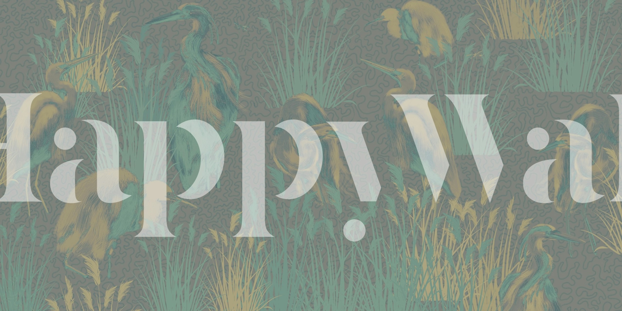 Lagoon Birds in Teal tapetti huoneessa