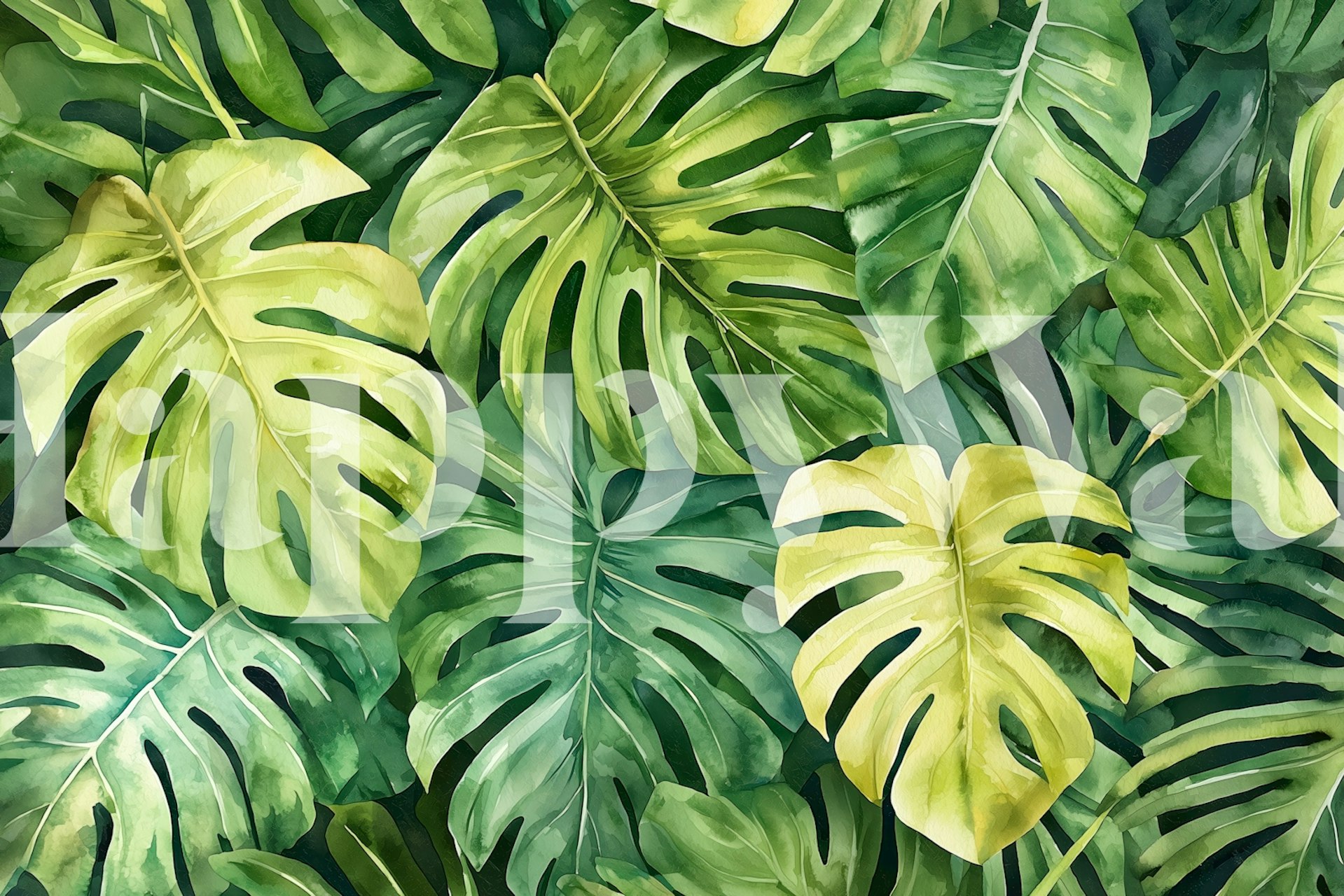 Green monstera leaves wallpaper in a room