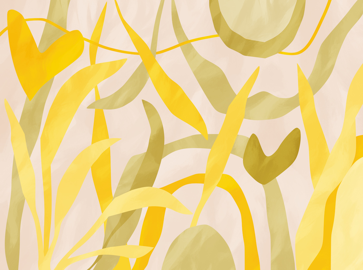 happywallpaper