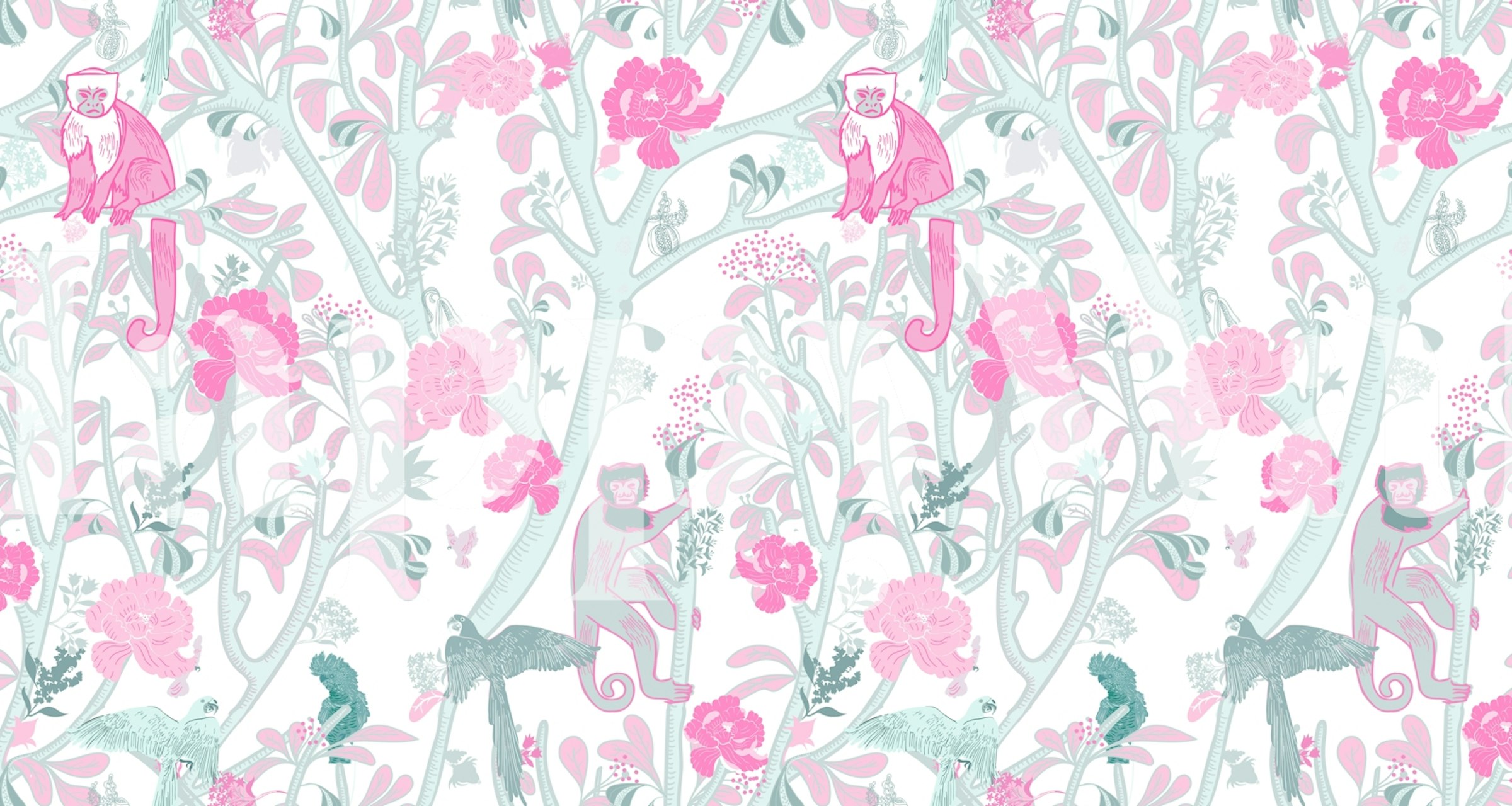Capuchins in Pink wallpaper