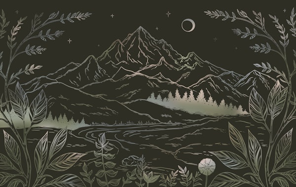 Night Sky Mountain Outline