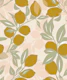 Lemon Orchard Mediterranean Citrus
