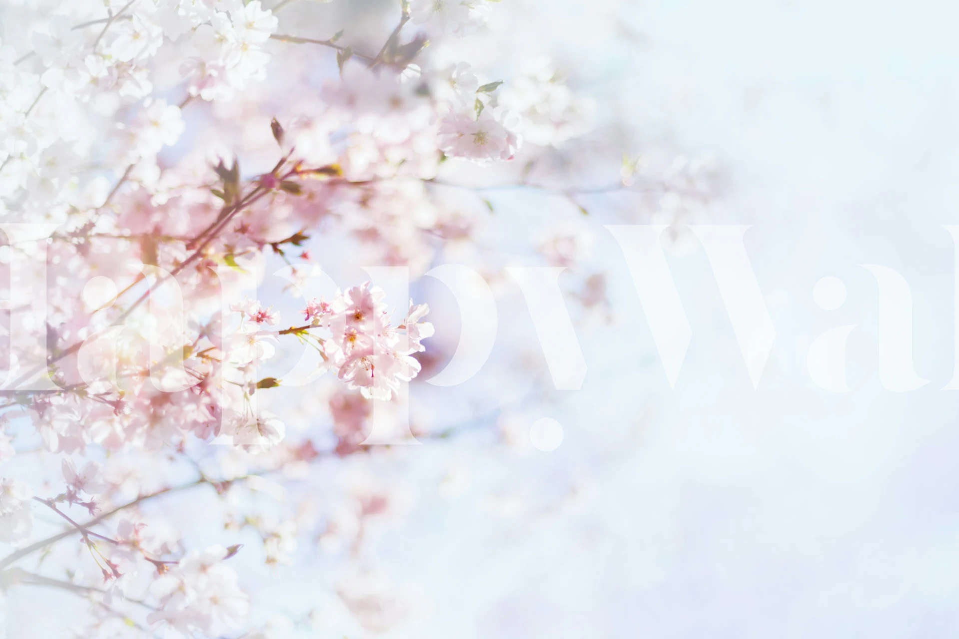 Pink floral wallpaper in an interior setting