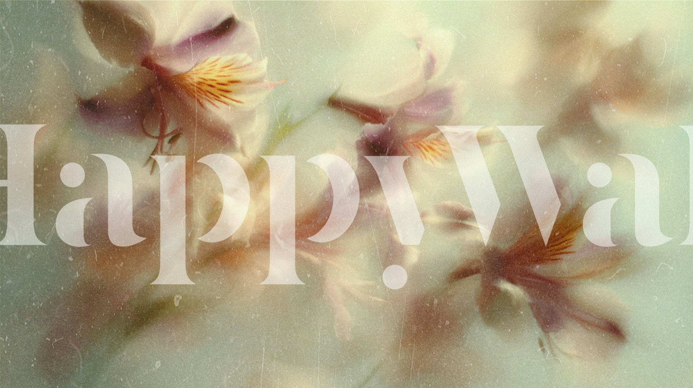 Charming Floral Abstract wallpaper in a room