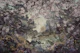 Cherry Blossom River Mist