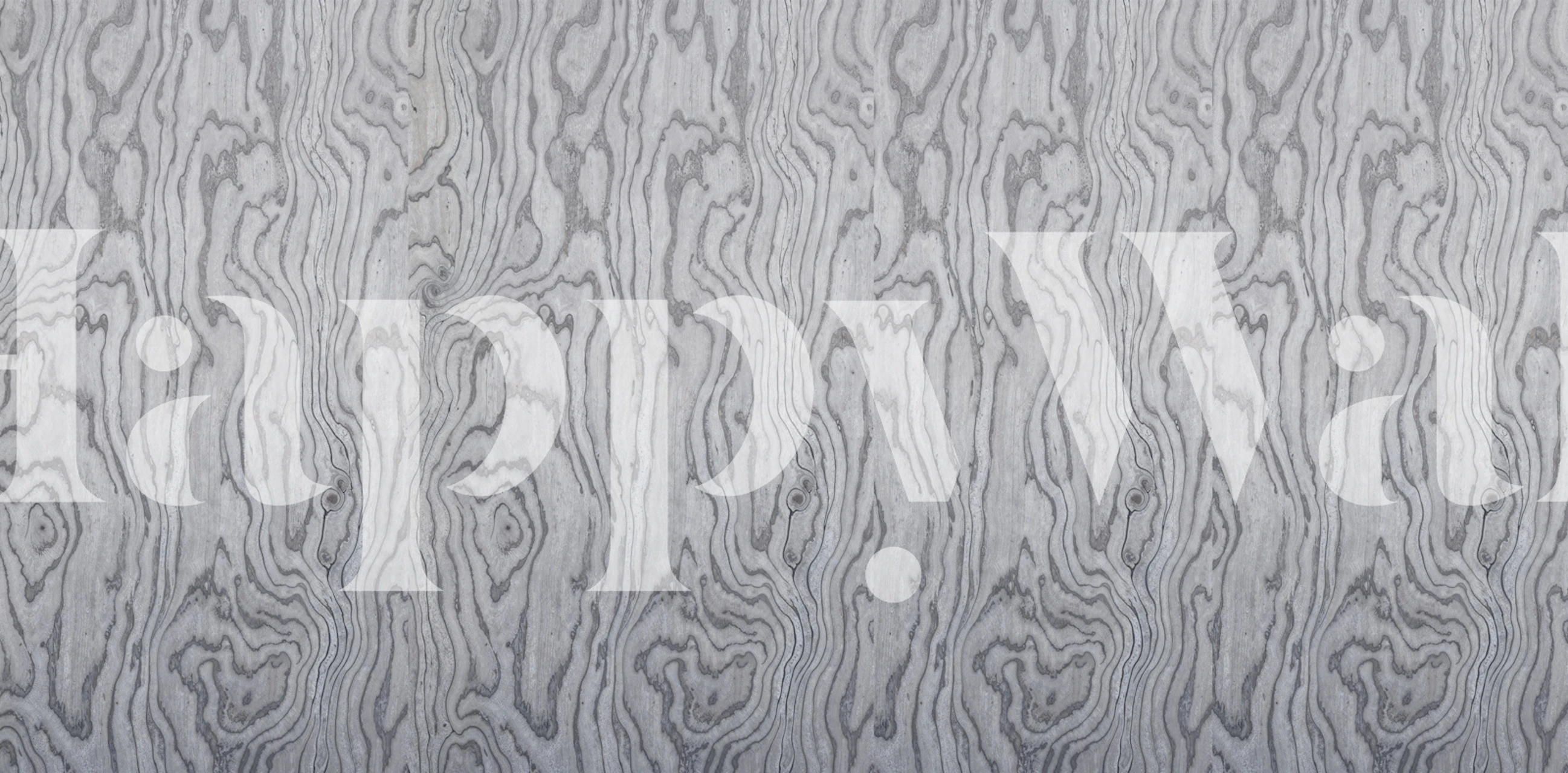 Modern Gray Plywood Grain wallpaper in a room