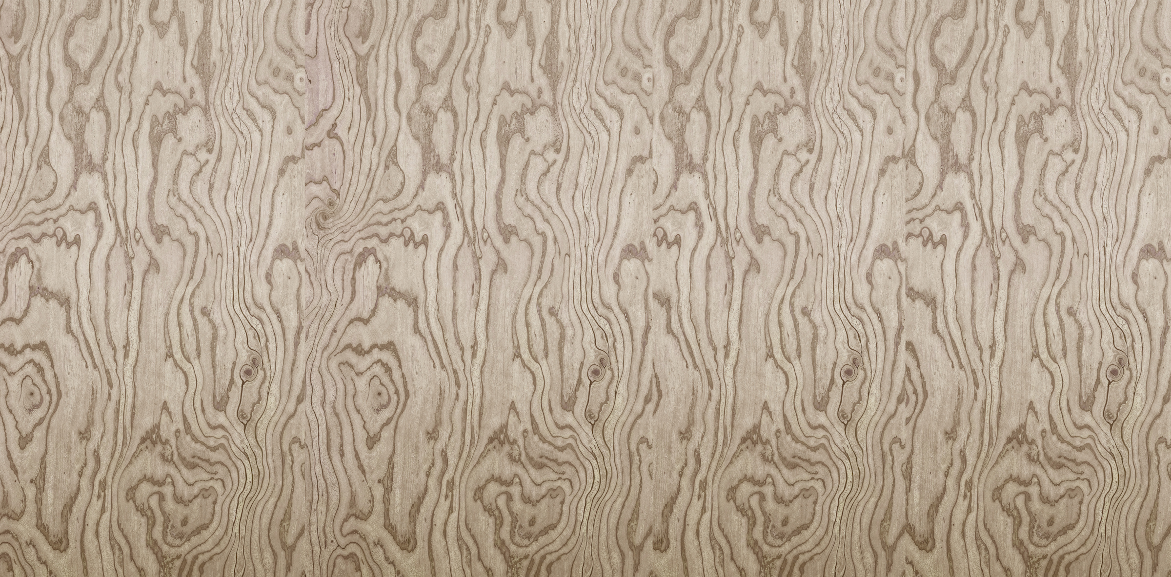 lines