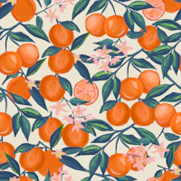 Sweet Oranges Floral Vines on Soft Cream tapet