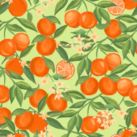 Sweet Oranges Fruits on Soft Mint tapet