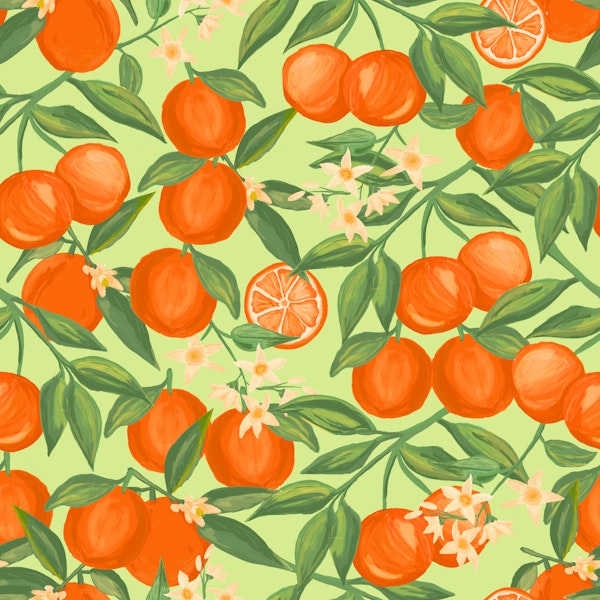Sweet Oranges Fruits on Soft Mint