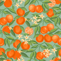 Sweet Oranges Fruits on Light Turquoise tapet
