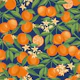 Sweet Oranges Fruits on Navy