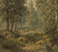 Misty Forest Meadow tapete