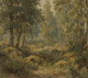 Misty Forest Meadow