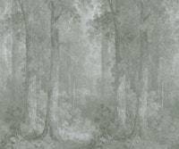 Misty Forest in Soft Sage Gray wallpaper