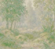 Misty Forest in Soft Sage Gray