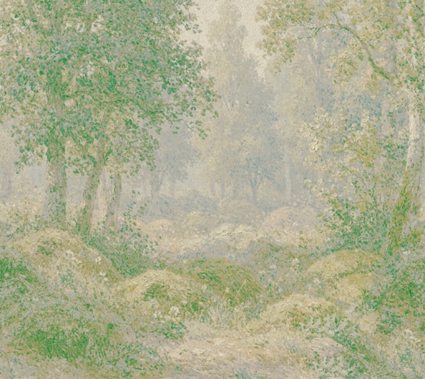 Misty Forest in Soft Sage Gray