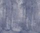 Misty Blue Forest Canopy