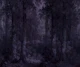 Misty Blue Forest Canopy