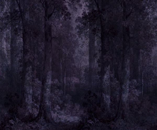 Misty Blue Forest Canopy