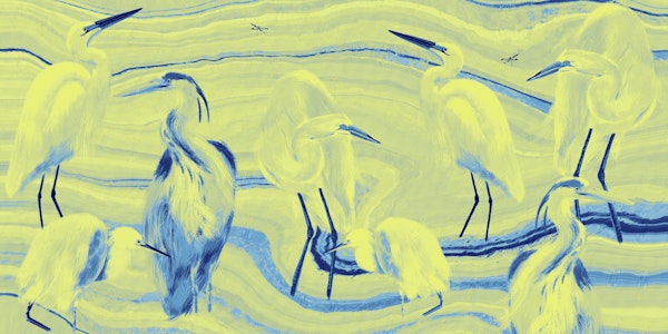 Lagoon Birds Textured In Yellow