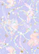 Koi Daydream-5
