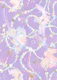 Koi Daydream-7