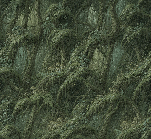 Enchanted Moss Forest Canopy