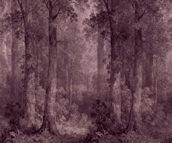 Mist Forest Botanicals Neutral