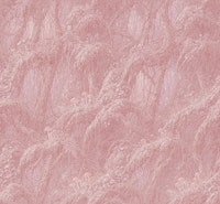 Misty Blush Jungle Foliage tapete