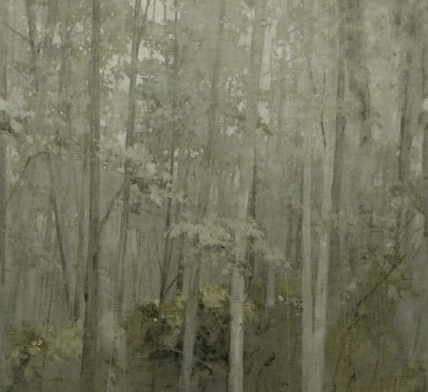 Misty Forest Oasis Mood