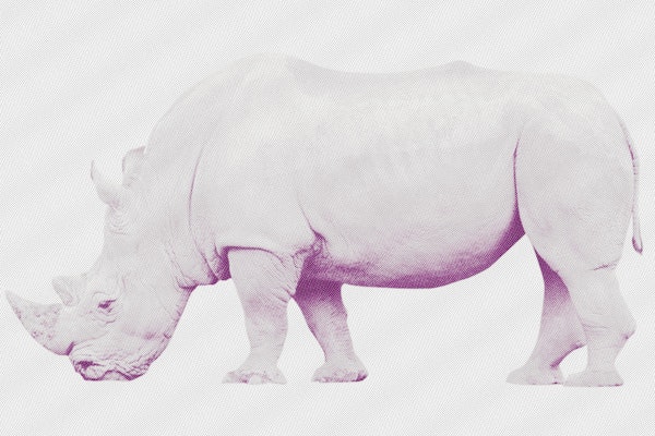 Rhino