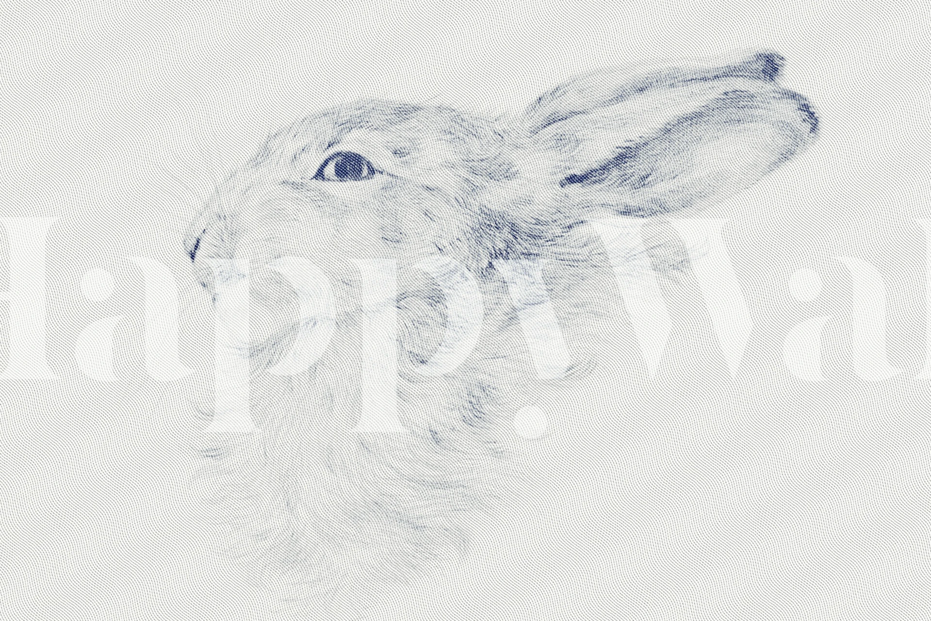 Bunny Face tapetes istabā