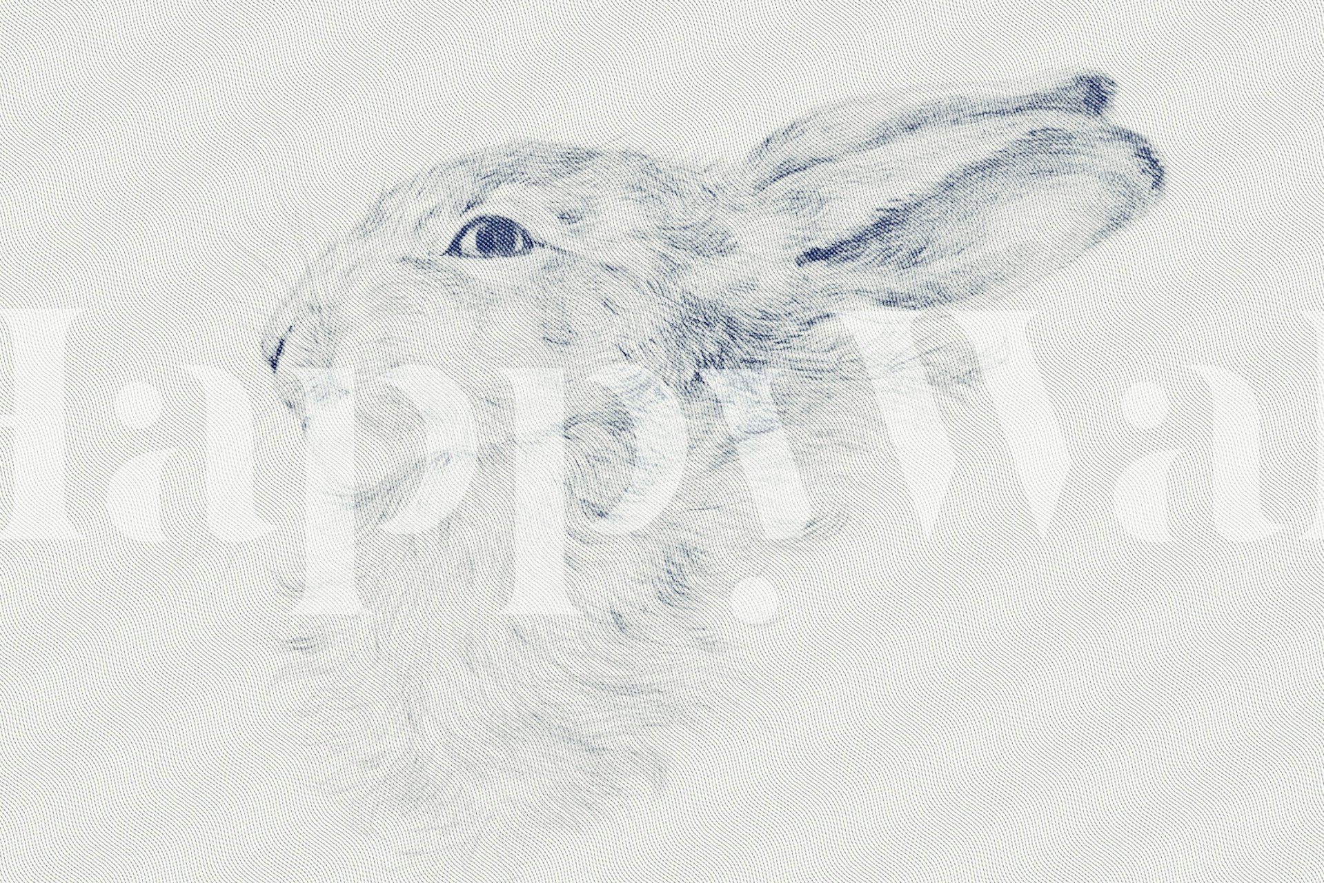 Bunny Face wallpaper in a room