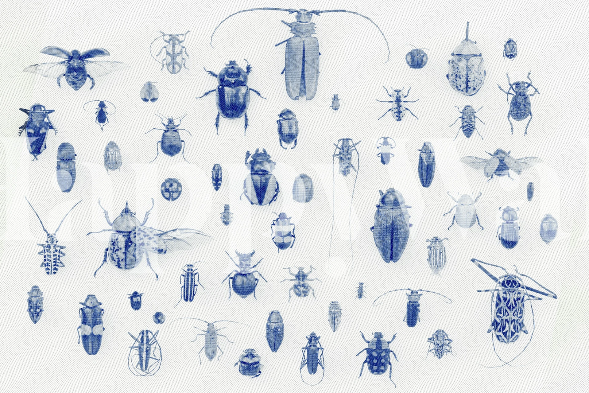 Papel pintado Bugs in Blue en una habitación