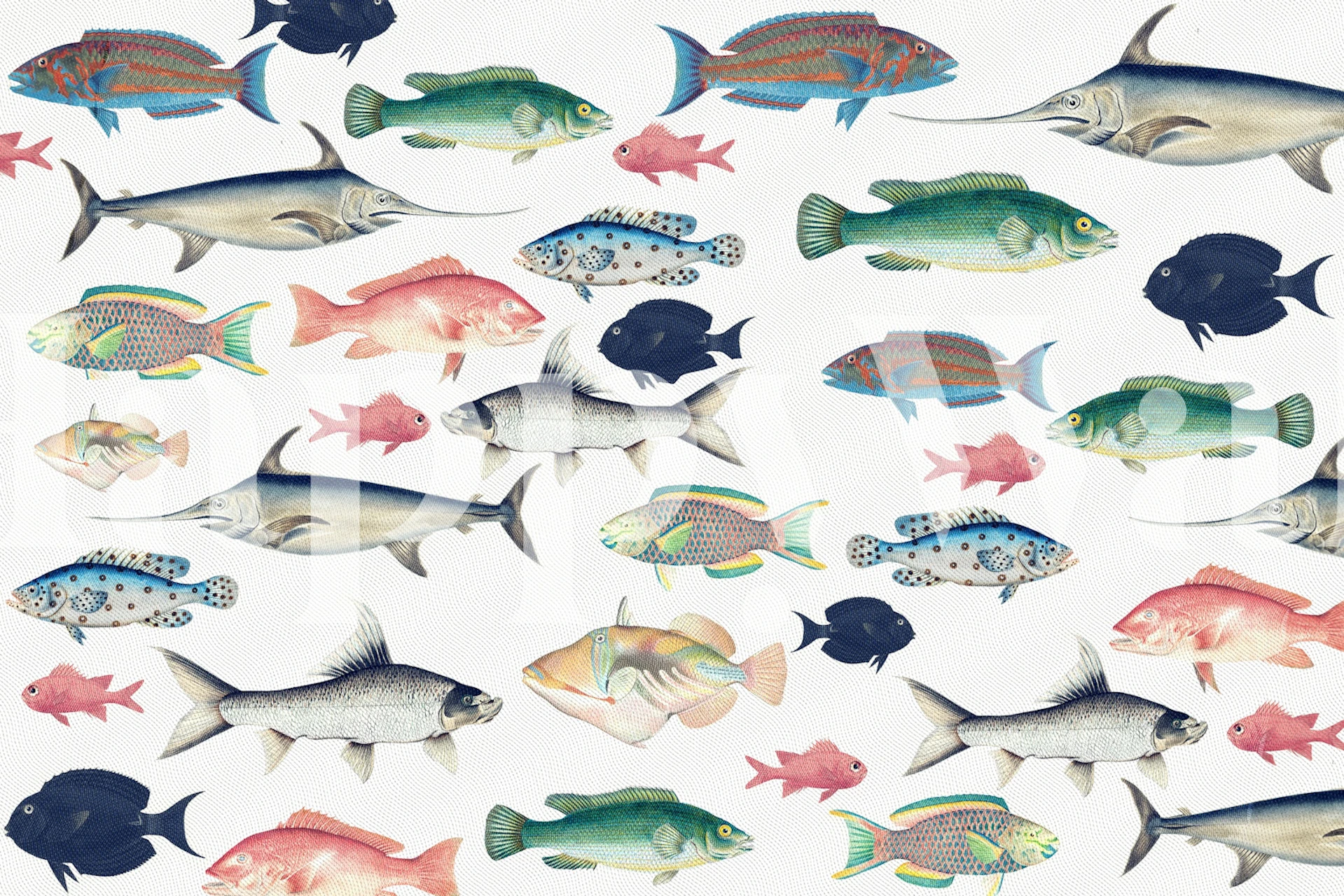 Ocean Fish wallpaper displayed in a room