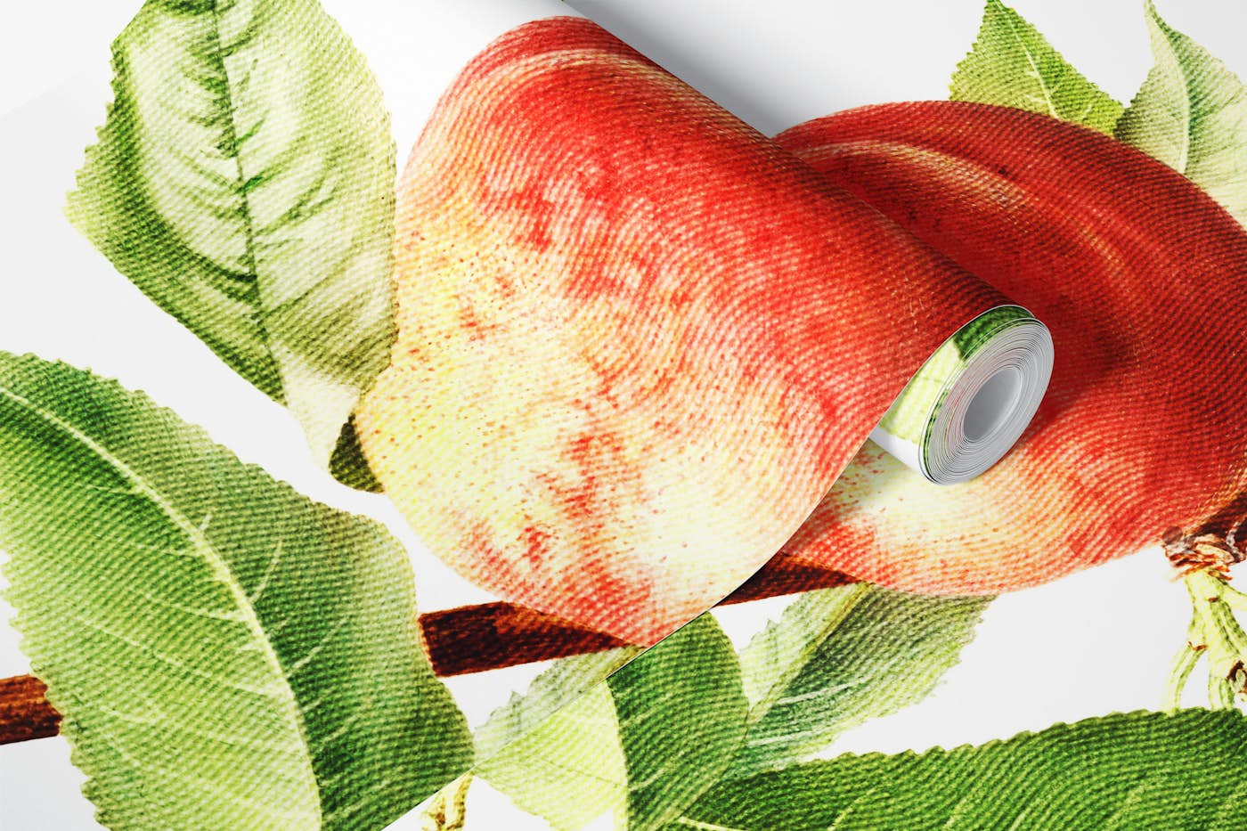 Botanical Peach Illustration wallpaper roll