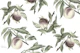 Botanical Illustration of Peaches