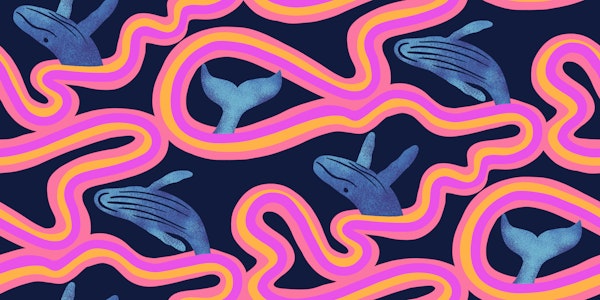 Breaching Humpback Whales on Blue