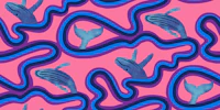 Breaching Humpback Whales in Pink wallpaper
