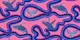 Breaching Humpback Whales in Pink