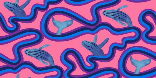Breaching Humpback Whales in Pink