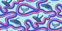 Breaching Humpback Whales on Light Blue wallpaper