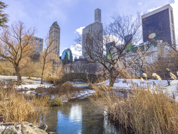 Central Park Winter Skyline