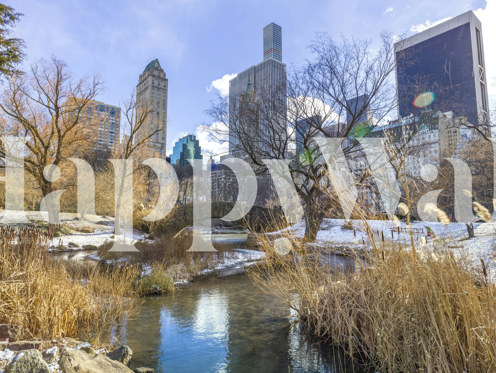 Central Park Winter Skyline tapeta sa zimskim obrisom grada u sobi